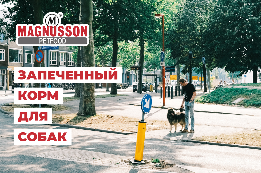 Запеченный корм Magnussons для собак