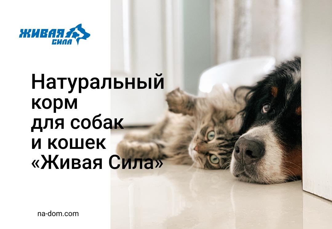 Натуральный корм для собак и кошек «Живая Сила»