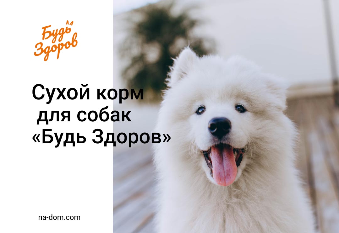 Сухой корм для собак «Будь Здоров»