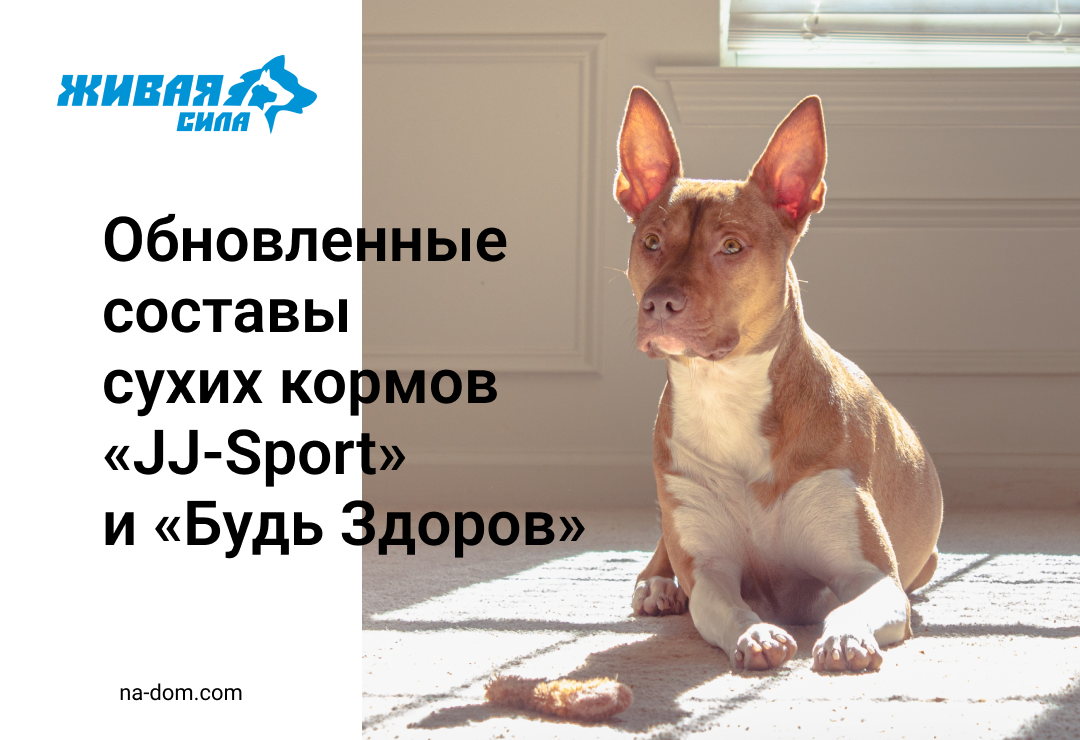 Обновление составов и упаковок корма «JJ-Sport» и «Будь Здоров»