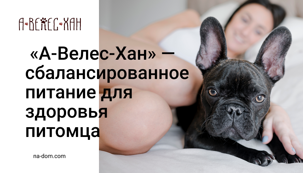 Сухой корм «А-Велес-Хан» — сбалансированное питание для здоровья собак и кошек