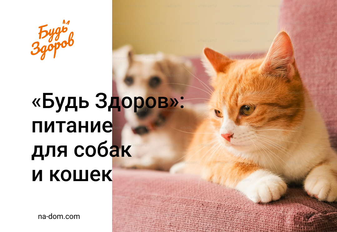 Корм «Будь Здоров» — питание под любые потребности питомца