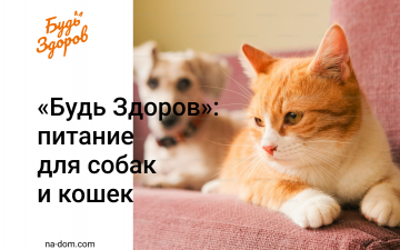 Корм «Будь Здоров» — питание под любые потребности питомца