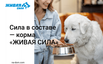 Натуральный состав и настоящая сила: корма «ЖИВАЯ СИЛА» для кошек и собак