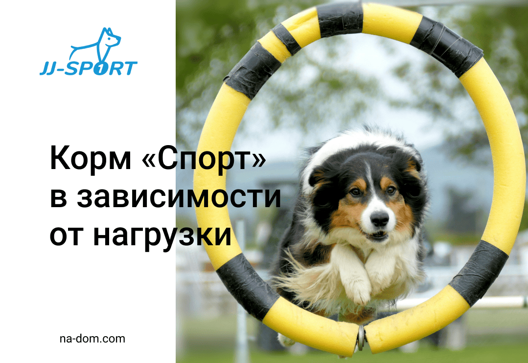 Корма JJ‑Sport: питание по уровню активности — как подобрать нужный рацион для вашей собаки