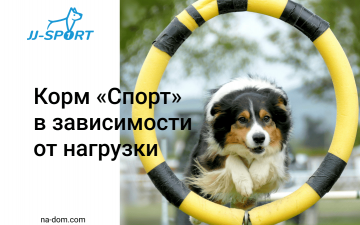 Корма JJ‑Sport: питание по уровню активности — как подобрать нужный рацион для вашей собаки