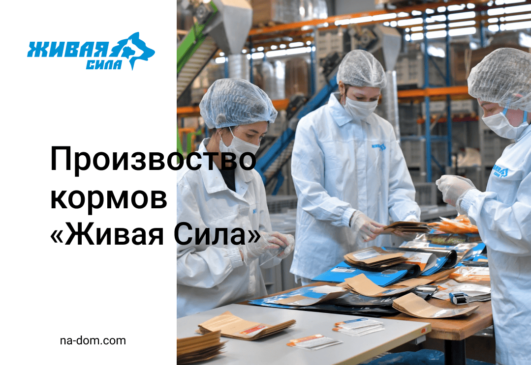 Производство кормов «Живая Сила» — качество, свежесть и забота о здоровье питомцев