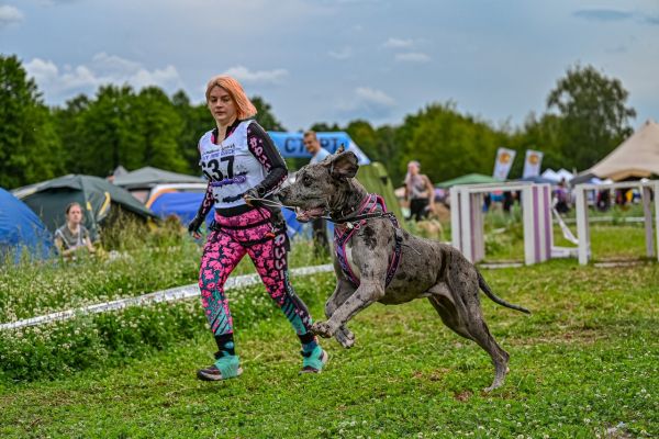 Hvostatiy Draiv And Mskna Domcom 02