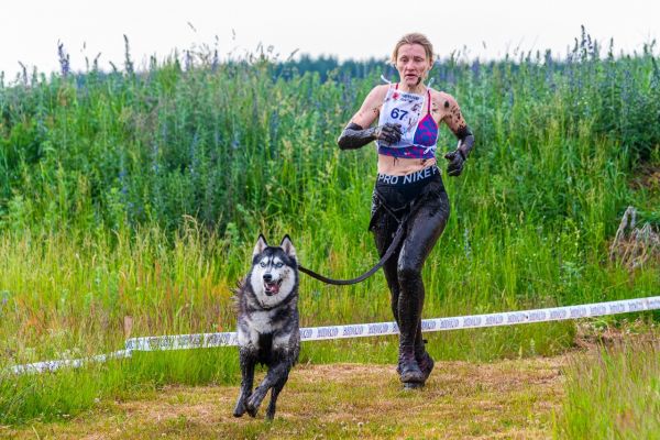 Hvostatiy Draiv And Mskna Domcom 03