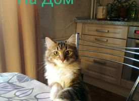 VagTJC04ZrQ