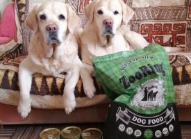 Labradori Kseniya I Lily  Pokupaet Korm Zooring 01