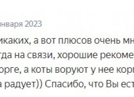 Otzivi O Nas 13