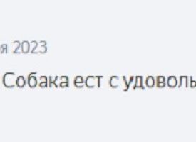 Otzivi O Nas 16