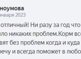 Otzivi O Nas 18