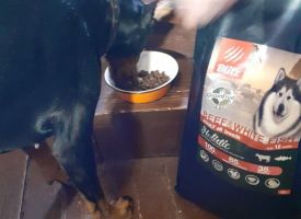 Photo 2021 03 06 14 36 07 2