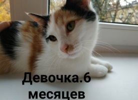 WEPrqPqAZww